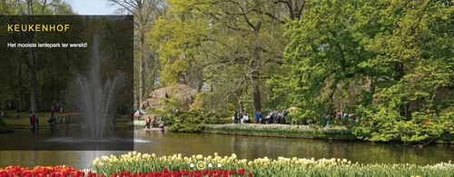 Tulpomania Keukenhof